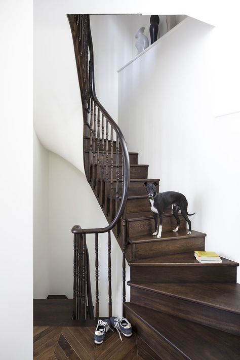 Explore a Victorian house in west London that perfectly blends elegance with grandeur | Livingetc 19th Century London, La House, Diy Staircase, Staircase Makeover, Sala Grande, Brown House, London Property, Dark Wood Floors, Wooden Stairs