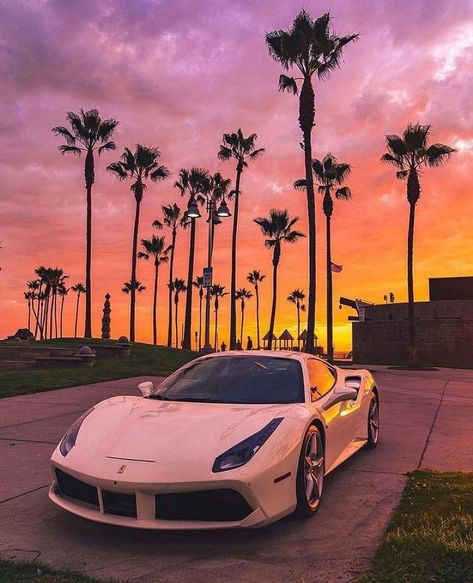 Millionaire Lifestyle™️ on Instagram: “Fire in the sky 😍 via @Sunset By @miagonzilla 💎 #millionairelifestyle - #sunset #ferrari #luxury #lifestyle #view #wow #amazing…” Ferrari 488 Spider, 488 Spider, Car Poses, Dubai Cars, Ferrari California, Car Artwork, Visit Dubai, Exotic Sports Cars, Ferrari 488