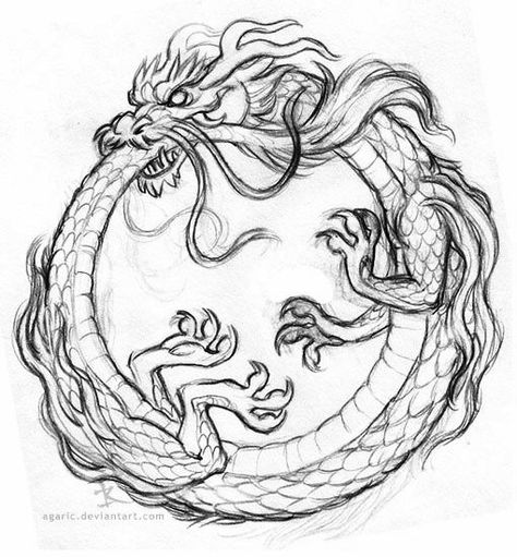 Chinese Dragon Drawing, Tattoos Sketches, Friendly Dragon, Dragon Tattoo Drawing, Japanese Dragon Drawing, Dragon Tattoo Sketch, Dragon Character, Ouroboros Tattoo, Dragon Tattoo Art