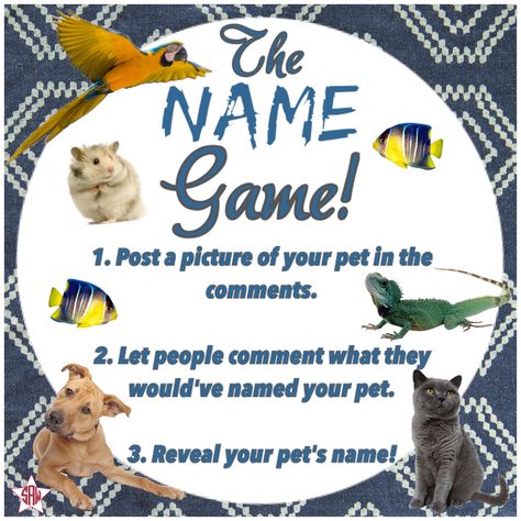 Name game!  Interactive post for Facebook VIP group.  Thirty-One spring/summer 2018. www.mythirtyone.ca/sabrinawhite #directsales Thirty One Games, Games Group, Facebook Group Games, Online Party Games, Interaction Posts, Interactive Post, Interactive Facebook Posts, Fb Games, Facebook Games