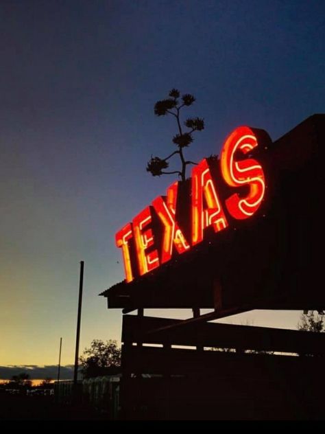 Texas Aesthetic Vintage, Jay Crownover, Texas Aesthetic, Ali Hazelwood, Texas Life, Vision Board Images, Cowboy Aesthetic, Texas Country, Vision Board Pictures