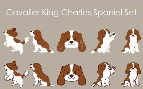 Cavalier Illustration, Drawing Simple, Hand Drawn Illustration, Drawn Illustration, Cavalier King, Charles Spaniel, Cavalier King Charles Spaniel, Cavalier King Charles, Abstract Background