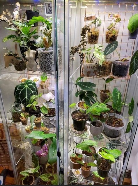 15 Creative Ideas to Inspire Your Potted Plant Arrangement https://decomagz.com/15-creative-ideas-to-inspire-your-potted-plant-arrangement/ Cabinet Cabinet, Style Shelf, Shelf Corner, Floating Garden, Plant Room, Green Charms, Inside Plants, Growing Plants Indoors, Bathroom Plants