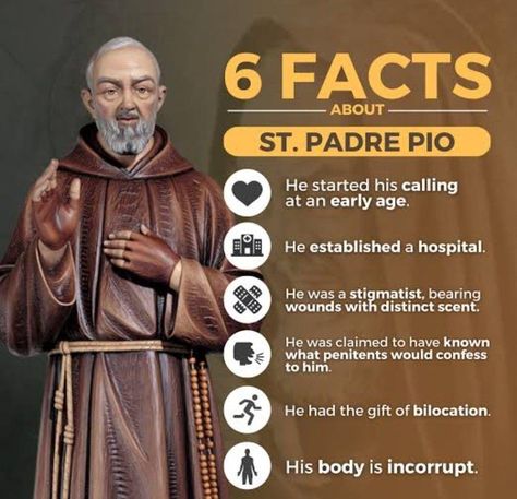 Saint Pio Of Pietrelcina, Padre Pio Quotes, Padre Pio Prayer, Divine Infant Jesus, Chapel Veil Catholic, St Pio Of Pietrelcina, St Padre Pio, Saint Anthony Of Padua, January Blues