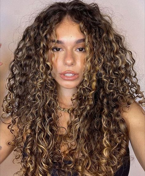 Honey Brunette Curly Hair, Natural Highlights For Curly Hair, Accent Highlights Curly Hair, Curly Hair Highlights Brunettes, Curly Hair With Golden Highlights, Money Piece On Natural Curly Hair, Light Brown Permed Hair, 3b Curly Highlights, Neutral Blonde Curly Hair