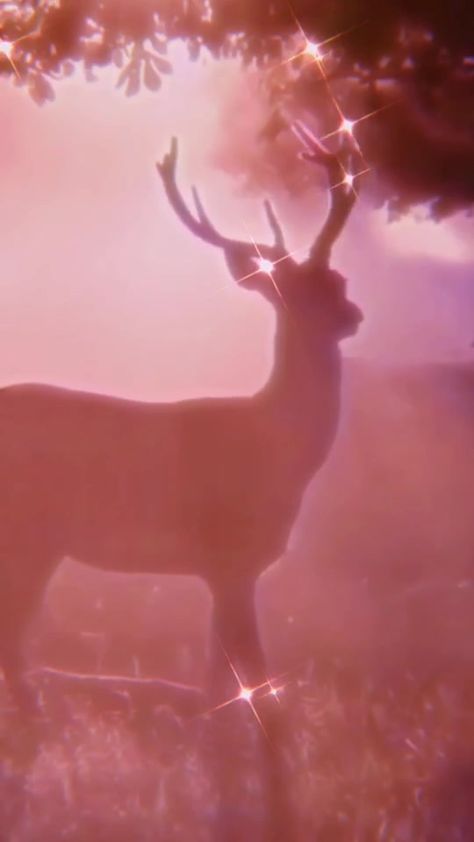 🌿 𝒻𝒶𝒾𝓇𝓎 𝓉𝒶𝓁𝑒 🌿 #aesthetic #forest #deer Fairy Tale Aesthetic, Pink Deer, Forest Deer, Aesthetic Forest, Aesthetic Videos, Fairy Tale, Deer, Forest, Iphone