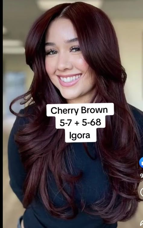 Wine Red Hair Formula, Red Hair For Light Skin Tones, Cherry Brown Hair Formula, Fall Balayage Brunette Red, Red Hair On Asian, Cherry Dark Red Hair, Cherry Cola Hair Color Formula, Cherry Wine Hair, Cherry Brown Hair Color