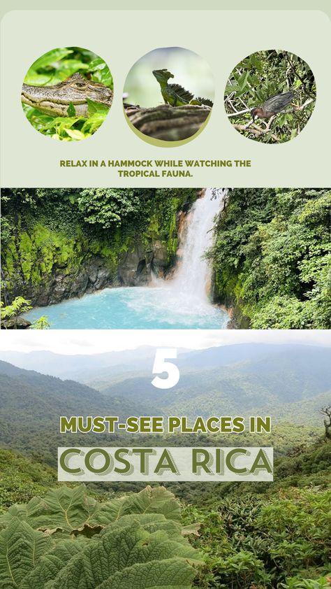 #nationalgeographic #Journeys #Gadventures Costa Rica Travel Guide: Everything You Need to Know 5 Must-See Places in Costa Rica,Costa Rica on a Budget: How to Plan an Affordable Trip,Costa Rica for Families: The Ultimate Guide Sea turtle conservation,Relaxing in a hammock and spotting tropical wildlife Getting to know a local family and making tortillas ,Experiencing the misty cloud forests in Monteverde,Discovering pristine beaches and lush jungles Costa Rica Outfit, Costa Rica Aesthetic, Rica Aesthetic, Making Tortillas, Travel Costa Rica, Tortuguero National Park, Costa Rica Travel Guide, Turtle Conservation, Work And Travel