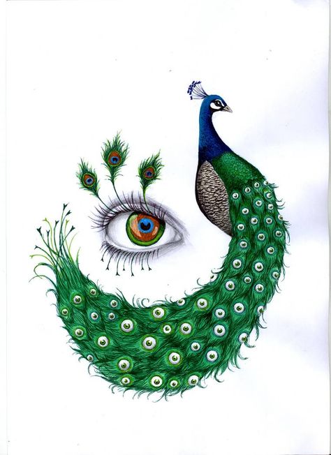 peacock by LaChauveSourisDoree on DeviantArt Peacocks Drawings, Peacock Drawing With Colour, Peacock Drawing, Feather Illustration, Peacock Images, Peacock Pictures, Peacock Wall Art, Peacock Painting, Peacock Art