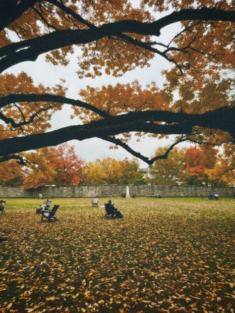 Georgetown Washington Dc Fall, Georgetown University Aesthetic, Danica Core, Georgetown University Washington Dc, Washington Dc Aesthetic, Autumn Dark Academia, Autumn Ambience, University Washington, Dc Aesthetic