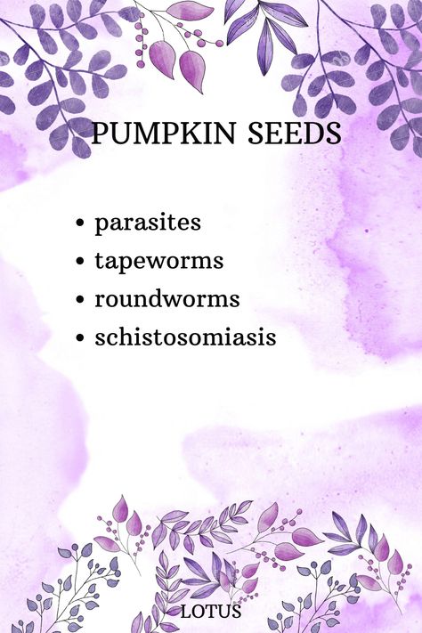 Lotus Witchcraft, Lotus Essential Oil Blends, Blue Lotus Witchcraft, Blue Lotus Essential Oil, Pumpkin Seeds Benefits, Lotus Incense, Pumpkin Seeds, Health Benefits, Seeds