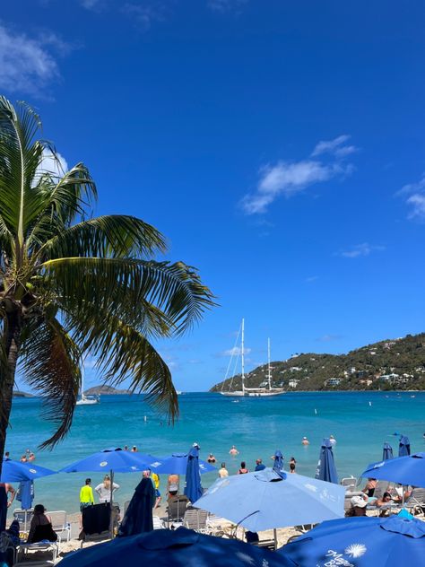 St Thomas Island, St Thomas Virgin Islands Pictures, St Thomas Aesthetic, Voyage Aesthetic, Usvi Vacation, St Thomas Beaches, Caribbean Life, St Thomas Virgin Islands, St Thomas Usvi