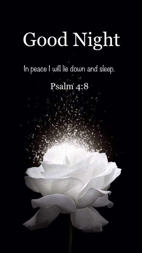 Good Night Psalms, Goodnight Bible Verses, Good Night Bible Verse, Jesus Quotes Inspirational, Night Love Quotes, Psalm 4, Good Night Love Quotes, Moments Quotes, Cute Love Quotes For Him