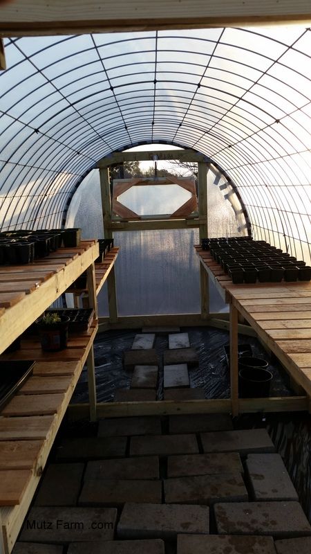 Cattle Panel Greenhouse Plans, Cheap Greenhouse Diy, Cattle Panel Garden, Cattle Panel Greenhouse, Simple Greenhouse, Greenhouse Construction, Cheap Greenhouse, Gardening Tricks, Tunnel Greenhouse