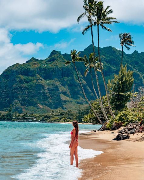 Are you planning a trip to Oahu, Hawaii ? In this post you’ll find the best beaches on Oahu, Hawaii - including amazing hidden gems and secret locations! And the best? I even added a map for you so you can easily find all the beach during your own Hawaii Trip! So what are you waiting for? Read or save this post with all the best & most beautiful beaches on Oahu, HAwaii now! // #hawaii #hawaiitravel #oahu #travelguide #traveltips // Kaaawa Beach on Oahu, Hawaii Kaaawa Beach Hawaii, Makua Beach Oahu, Best Beaches In Oahu, Oahu Hawaii Pictures, Waimea Bay Oahu, Hawaii Vision Board, Hawaii Summer Aesthetic, Hawaii Inspo Pics, Hawaii Aesthetic Pictures