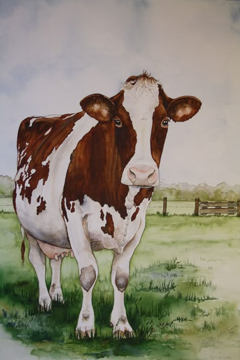 Cow Watercolor, Farm Animal Paintings, Cow Illustration, Dog Portraits Art, Cow Photos, Farm Pictures, Cow Pictures, Art Photography Portrait