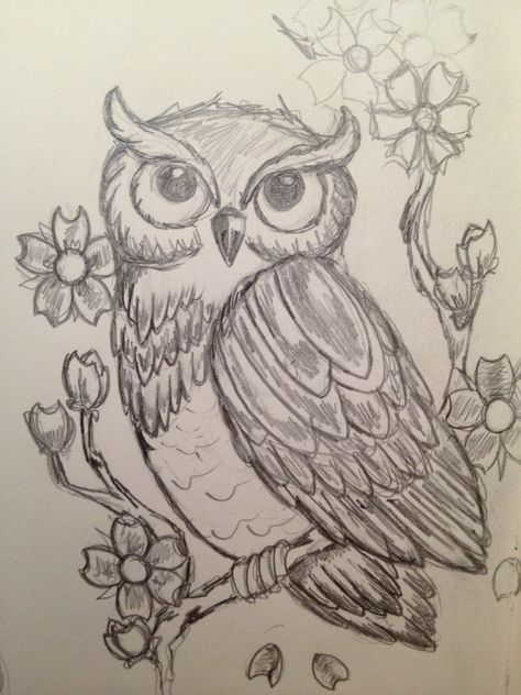 Owl Drawing Sketches, Owl Drawings, Owl Drawing Pencil, Owl Drawing, Owl Sketch Simple, Sketches Of Owls Pencil Drawings, Owl On A Tree Drawing, Owl And Books Drawing, Owl Drawing Simple