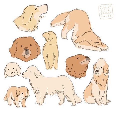 Cute drawings of doggos Golden Retriever Drawing, Animal Doodles, 강아지 그림, Arte Inspo, Poses References, Dessin Adorable, Dog Illustration, Animal Sketches, Arte Animal