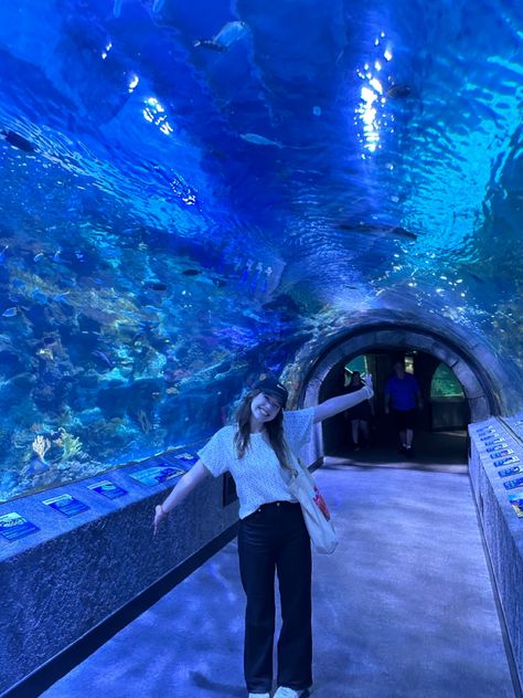 Aquarium Instagram Pictures, Life Is A Simulation, Aquarium Outfit Ideas, Aquarium Outfit, Aquarium Tunnel, Aquarium Photos, Aquarium Pictures, Beto Carrero World, Travel Infographic