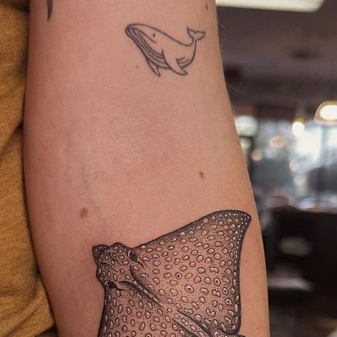 wildbones TATTOO - Taylor Hatch on Instagram: "custom eagle ray for julia 🐚 thank you so much and enjoy!" Spotted Ray Tattoo, Spotted Eagle Ray Tattoo, Eagle Ray Tattoo, Spotted Eagle Ray, Ray Tattoo, Eagle Ray, Piercing Tattoo, Tattoos And Piercings, Thank You So Much