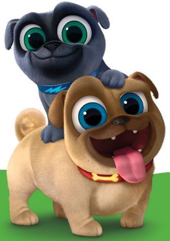 337 (337×479) Puppies Birthday, Puppy Dog Pals, Puppy Birthday Parties, Puppy Birthday, Animal Advocacy, Pug Puppies, Dog Party, Puppy Party, Trik Fotografi