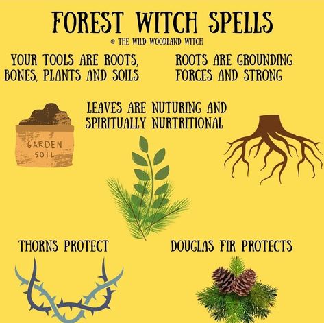 Forest Witchcraft, Nature Witchcraft, Druid Witch, Witch Types, Herbs For Protection, Wild Witch, Every Witch Way, Nature Witch, Witch Rituals