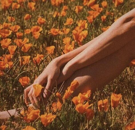 Minako Aino, Orange You Glad, Orange Aesthetic, Yellow Aesthetic, Aesthetic Colors, The Grass, Aesthetic Photo, Summer Aesthetic, Aesthetic Pictures