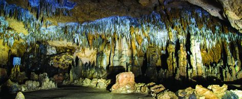 Florida Caverns State Park 3345 Caverns Rd.Marianna FL Florida Caverns, Florida Caverns State Park, Cypress Swamp, Homeschool Field Trips, Civilian Conservation Corps, Florida State Parks, Cave Tours, Travel Things, Field Trips