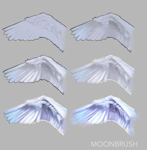 Wings Sketch, Animation Process, Wings Drawing, Concept Art Tutorial, Drawing Tutorial Face, Digital Painting Techniques, Body Drawing Tutorial, Paint Brush Art, Feather Painting