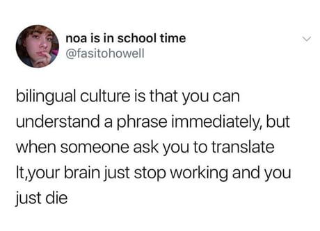 Bilingual? More like BYElingual Bilingual Humor, Learning Languages Tips, Twitter Posts, Lol Memes, Memes Br, School Humor, Learn French, What’s Going On, Tumblr Funny