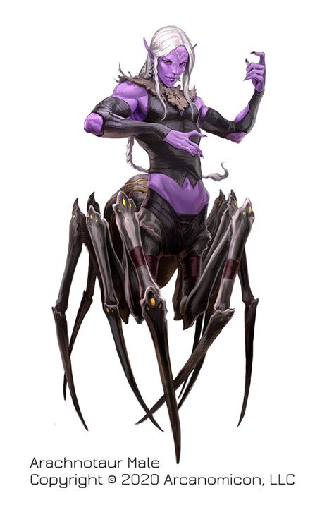 Anthro Spider, D D Races, Dnd Races, Demi Human, Fan Anime, Fiction Idea, Film Design, Dnd Art, Dark Elf