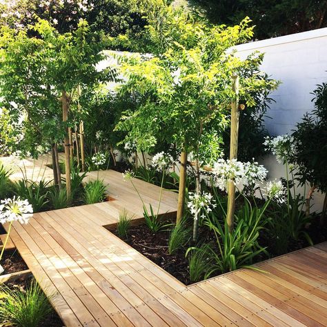 Decking ideas: 27 ways to transform your garden | Real Homes Decking Ideas, Narrow Garden, Wooden Deck, Back Garden Design, Deck Designs Backyard, Garden Area, Contemporary Garden, Outdoor Gardens Design, Backyard Garden Design