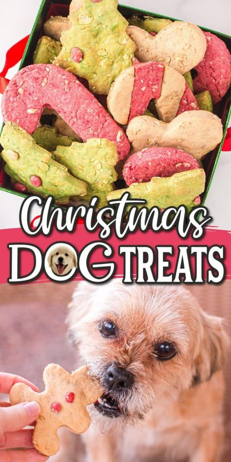 Homemade Christmas Dog Treats, Dog Cookie Recipes, Pet Treats Recipes, Christmas Dog Treats, Easy Dog Treat Recipes, Princess Pinky Girl, Dog Biscuit Recipes, Easy Dog Treats, Healthy Dog Treats Homemade