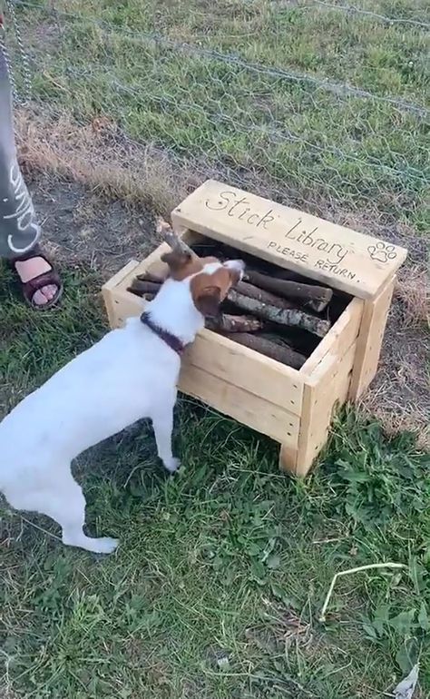 Man Builds A Stick Library For Every Dog At The Park Small Dog Park Ideas, Fun Dog Run Ideas, At Home Dog Park, Dog Parks Ideas, Outside Dog Activities, Outdoor Play Area For Dogs, Home Dog Park Ideas, Private Dog Park Ideas, Diy Dog Park Backyard