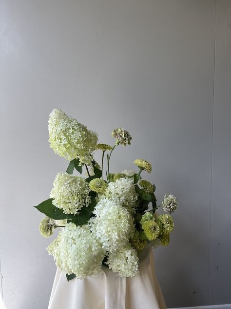 floral sculpture, still life. Auckland floral designer New Zealand, white and red floral arrangement, modern, wedding florist Auckland, Modern Wedding florals, White snowball hydrangea, green zinnia and carnation floral centrepiece arrangement Panicle Hydrangea Arrangement, Green And White Hydrangea Centerpiece, Modern Hydrangea Arrangements, Hydrangea Styling, Green Hydrangea Arrangements, Limelight Hydrangea Arrangement, Small Hydrangea Centerpiece, Hydrangea Sculpture, Fall Hydrangea Arrangements