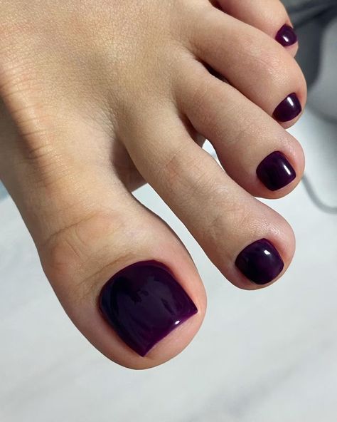 Dark Pedicure Colors, Pedicure Trends, Blue Pedicure, Purple Toe Nails, Trending Nail Polish Colors, Purple Toes, Purple Tips, Gel Pedicure, Pedicure Colors