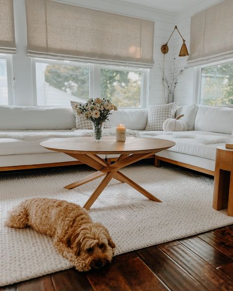 Friday morning stills of our (clean) serene sunroom. Happy Friday, friends🤍 #sunroom #cozyhome #casualliving #livebeautifully #sodomino #myhousebeautiful #myhouseandhome #whitedoneright #whiteinterior Sunroom Sitting Area, Three Season Porch, Sunroom Ideas, Happy Friday Friends, Live Beautifully, Friday Morning, Sitting Area, Porch Decor, White Interior