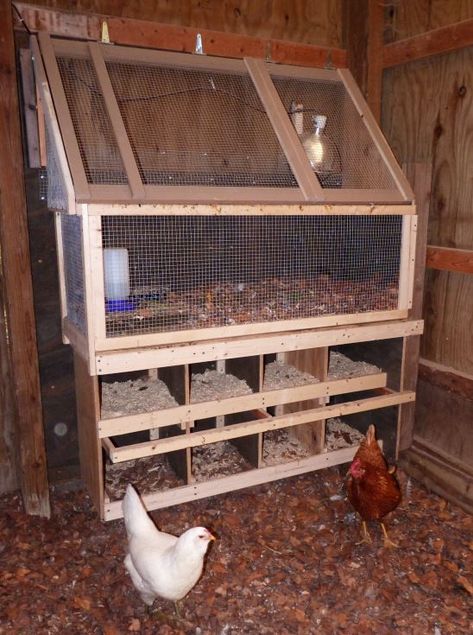 Chicken Brooder, Chicken Pen, Backyard Chicken Coop Plans, Chicken Nesting Boxes, Diy Chicken Coop Plans, Chicken Coop Run, Backyard Chicken Farming, Chicken Coop Designs, Chicken Garden