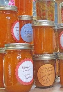 Persimmon Jelly, Canning Apricots, Apricot Preserves Recipe, Summer Ingredients, Apricot Jam Recipes, Apricot Preserves, Canning Equipment, Apricot Recipes, Canning Fruit