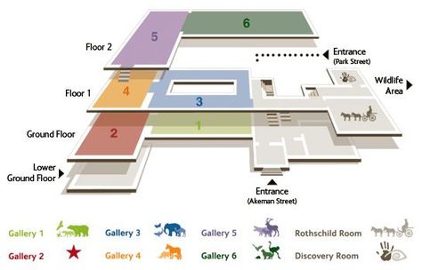 museum floor plan design - Google Search | Corporate Office ... Museum Floor Plan, Bubble Diagram Architecture, Museum Flooring, Bubble Diagram, Museum Plan, Building Map, Architectural Competition, Signage System, Architecture Collage