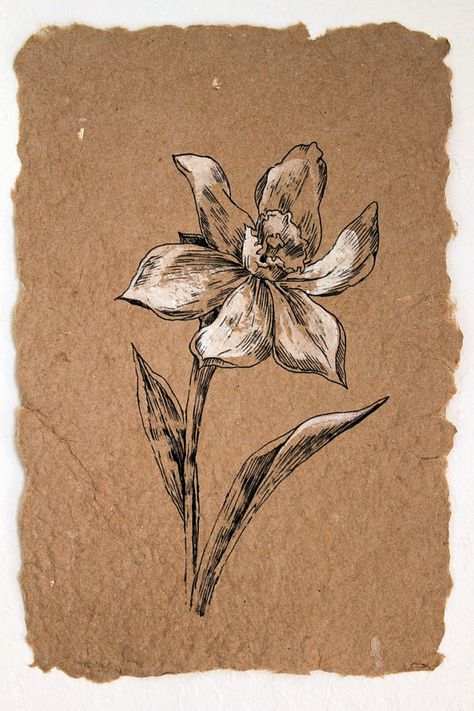 Flower Drawing. White Narcissus. Classis Style Original Artwork. Botanical Art. Black Ink Drawing on Handmade Paper. House Decor on Etsy, $40.05 AUD White Narcissus, Black Ink Drawing, Insect Wall, Natural Form Art, Narcissus Flower, Sketch Books, Year 8, Paper House, Natural Form