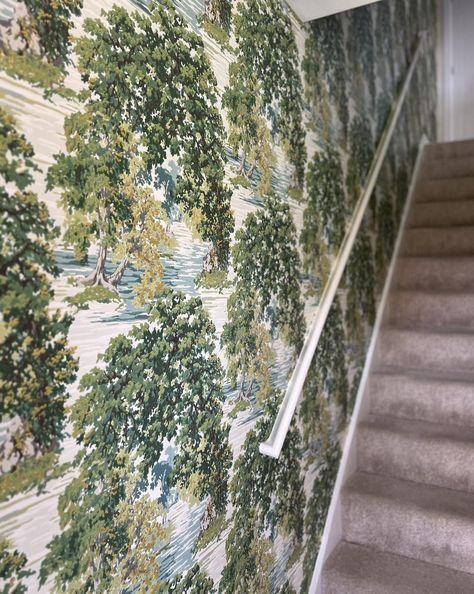 ✨The exquisite Ancient canopy wallpaper by sanderson1860 on the entrance wall of our latest show home project for crosskeyshomes ✨ 🌿 This impressionist scene of ancient trees and arching, bowing branches creates a stunning, dense canopy, leading the eye to a secluded glade. Offering a rich sense of perspective and depth, these age-old woodlands symbolize longevity, life, growth, and strength. Surface printed for a lovely chalky texture, with colours representing the changing seasons, this v... Entrance Wall, Ancient Trees, Ancient Tree, Changing Seasons, Home Projects, Entrance, Sense, Trees, Texture