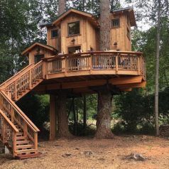 Diy Tree House, Adult Tree House, Luxury Tree Houses, Tree House Ideas, Treehouse Ideas, Beautiful Tree Houses, Tree House Plans, Backyard Trees, Tree House Diy