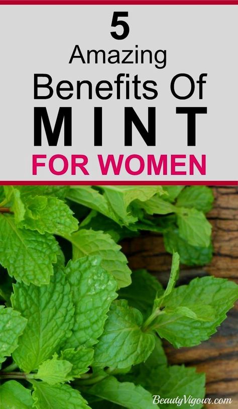 Fitness,Facts,Future,Who should avoid to use mint strictly?,mint benefits,for health,for skin,face,Top benefits and side effects,hair,margarita recipe,side effects on body,Side Effects Of Peppermint And Who Must Not Consume It? Mint Tea,leaves recipe,Health uses,Drink,leaves be used,grow mint,i store mint leaves,we preserve mint,what,how,can,why,Mint Face Pack,female beauty,belly,when can use Mint Uses, Reishi Mushroom Benefits, Mint Plant, Tomato Nutrition, Calendula Benefits, Matcha Benefits, Coconut Health Benefits, Reishi Mushroom, Benefits Of Coconut Oil