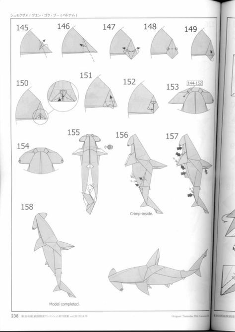 Diagram hammerhead shark nguyen ngoc vu[super] Hammerhead Shark Craft, Hammerhead Shark Anatomy, Shark Diagram, Shark Origami, Snowflake Origami, Paper Shark, Origami Shark, Origami Easy Step By Step, Shark Facts/ Anatomy