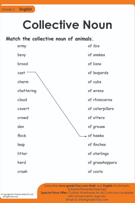 Gender In English, English Worksheets For Grade 1, Collective Nouns Worksheet, Grade 2 English, Animals Worksheet, Worksheets For Grade 1, Free English Worksheets, Animal Collective, Worksheets For Grade 3