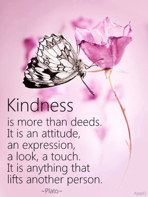 Kindness is more than deeds... <3 Butterfly Quotes, Enjoy The Little Things, Kindness Quotes, Positive Words, English Quotes, Random Acts Of Kindness, A Butterfly, A Quote, Positive Thoughts