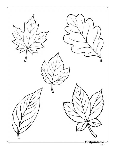 Printable Fall Leaves Template Fall Leaves Template Free Printable, Fall Coloring Pages For Adults, Leaves Template Free Printable, Free Printable Fall Coloring Pages, Thanksgiving Themes, Leaf Template Printable, Fall Leaf Template, Fall Leaves Coloring Pages, Leaf Templates