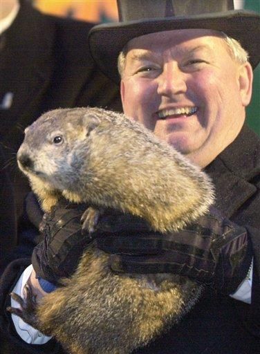 A blog about cute groundhog-centric Etsy Shop finds. Ground Hogs, Worlds Cutest Animals, Punxsutawney Phil, Prairie Dogs, Happy Groundhog Day, Prairie Dog, Interesting Animals, Groundhog Day, Happy Holiday