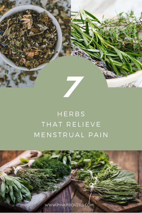 Herbs For Menstrual Cramps, Heal Endo, Woman's Health, Healthy Food Quotes, Endo Diet, Wellness Board, Cleaning Your Colon, Menstrual Pain, Period Pain